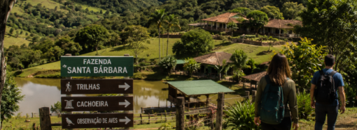Arraial de Belô 2026 promete movimentar Belo Horizonte com tradição, música e gastronomia típica